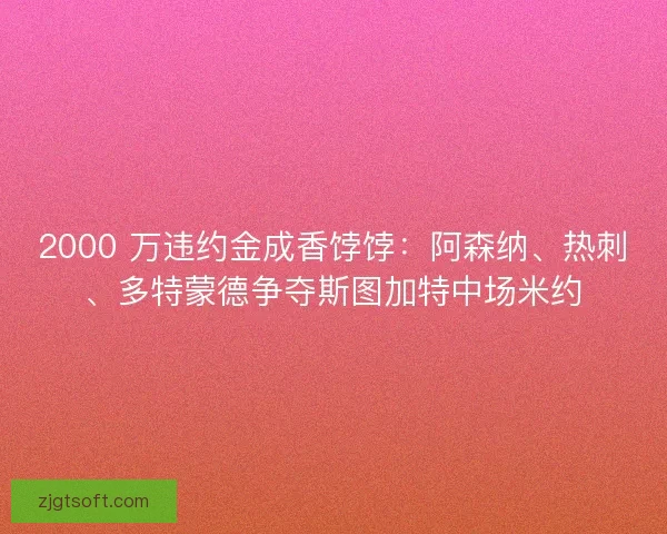 2000 万违约金成香饽饽：阿森纳、热刺、多特蒙德争夺斯图加特中场米约