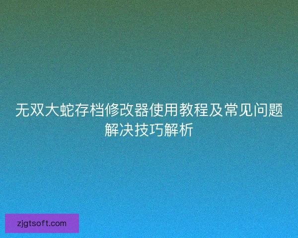 无双大蛇存档修改器使用教程及常见问题解决技巧解析