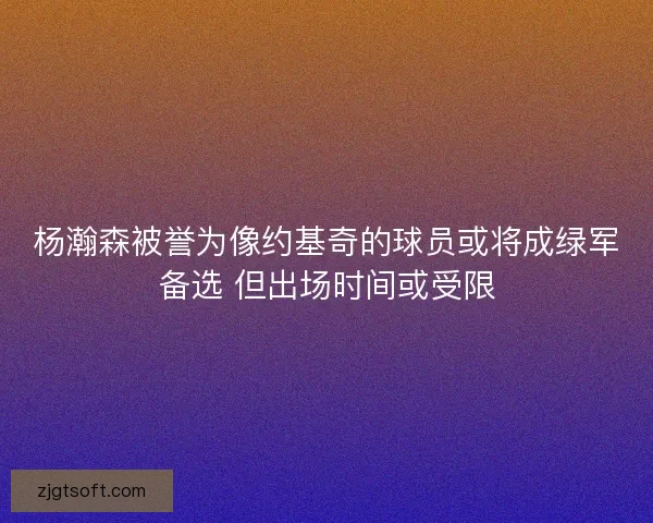 杨瀚森被誉为像约基奇的球员或将成绿军备选 但出场时间或受限